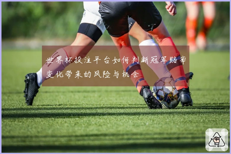 世界杯投注平台如何判断冠军赔率变化带来的风险与机会