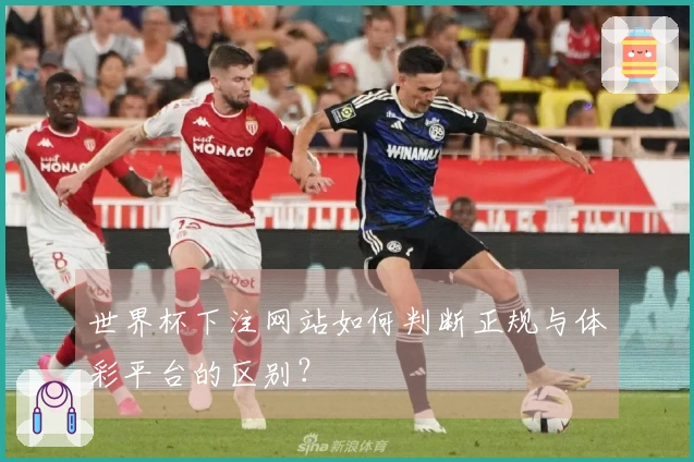 世界杯下注网站如何判断正规与体彩平台的区别？