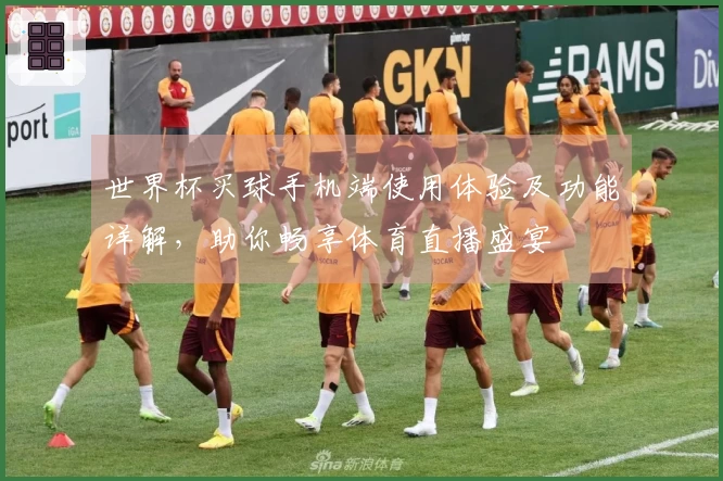 世界杯买球手机端使用体验及功能详解，助你畅享体育直播盛宴