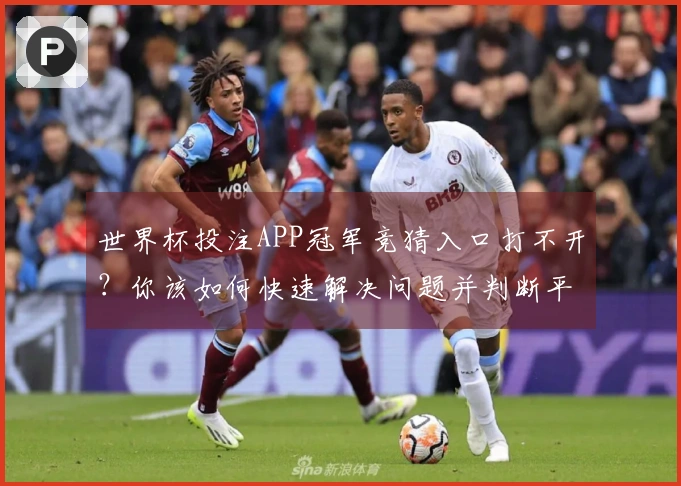 世界杯投注APP冠军竞猜入口打不开？你该如何快速解决问题并判断平台安全吗