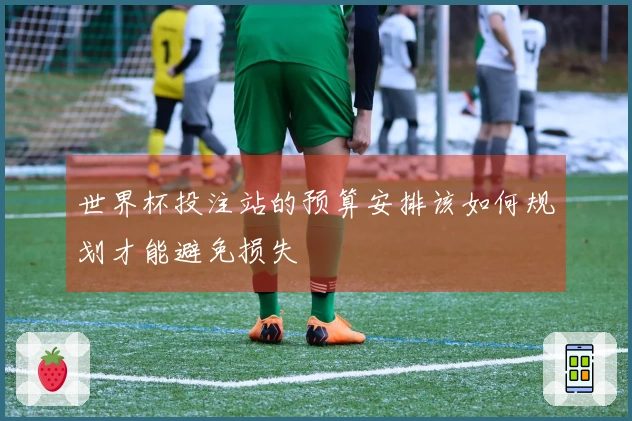 世界杯投注站的预算安排该如何规划才能避免损失