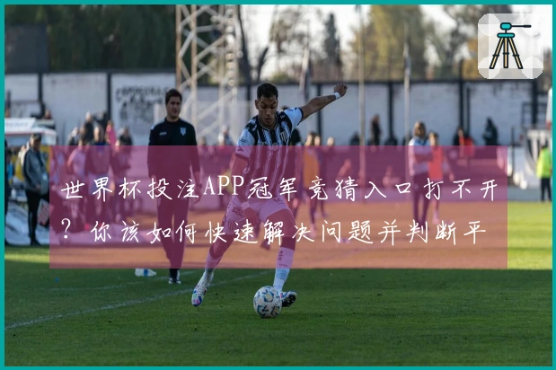 世界杯投注APP冠军竞猜入口打不开？你该如何快速解决问题并判断平台安全吗