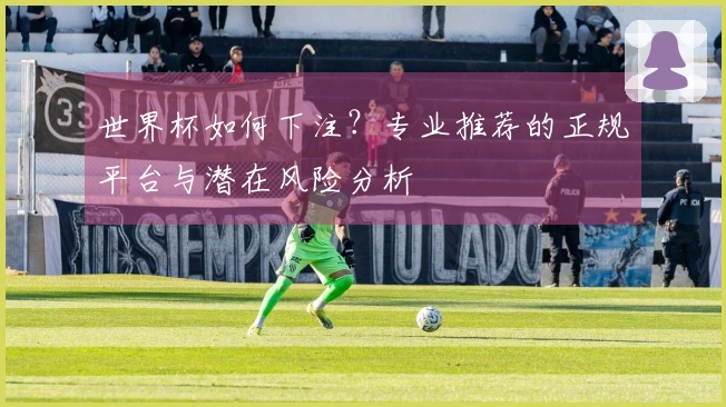 世界杯如何下注？专业推荐的正规平台与潜在风险分析