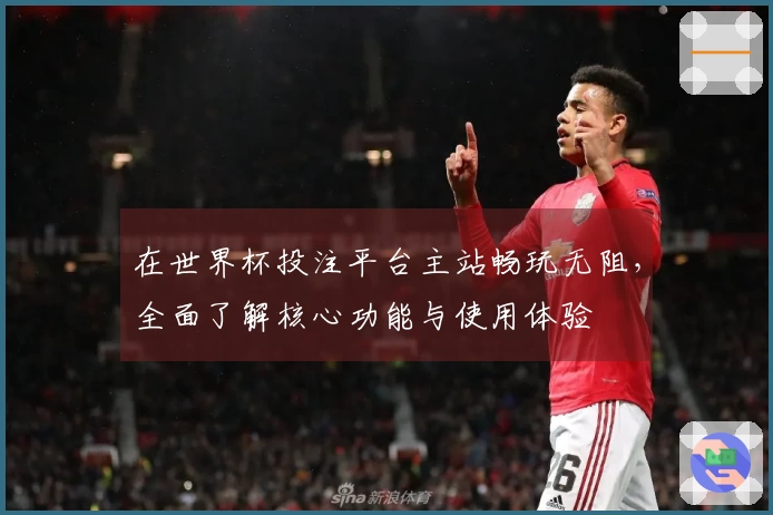 在世界杯投注平台主站畅玩无阻，全面了解核心功能与使用体验