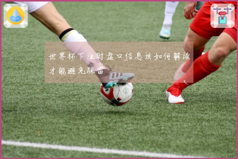 世界杯下注时盘口信息该如何解读才能避免踩雷