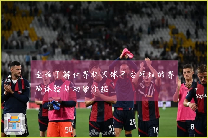 全面了解世界杯买球平台网址的界面体验与功能介绍