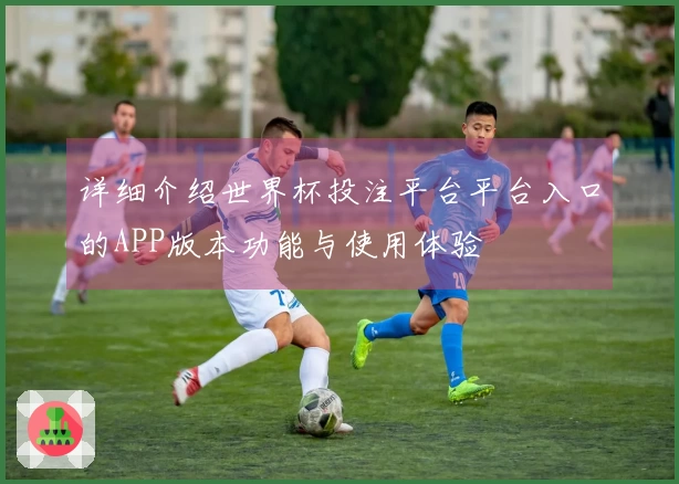 详细介绍世界杯投注平台平台入口的APP版本功能与使用体验