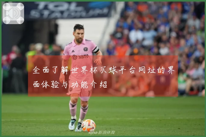 全面了解世界杯买球平台网址的界面体验与功能介绍